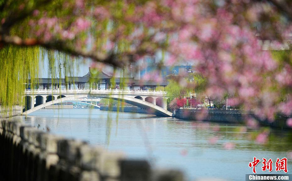 صور:الربيع أفضل فصل للتمتع بالمناظر الخلابة في مدينة يانغتشو 