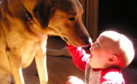 صور دافئة :الكلاب ترافق الأطفال فى مرحلة طفولتهم