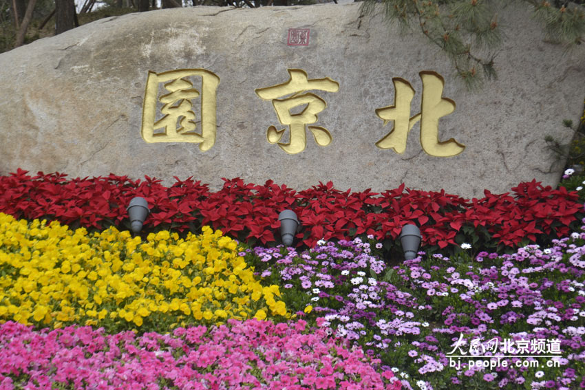 حديقة بكين