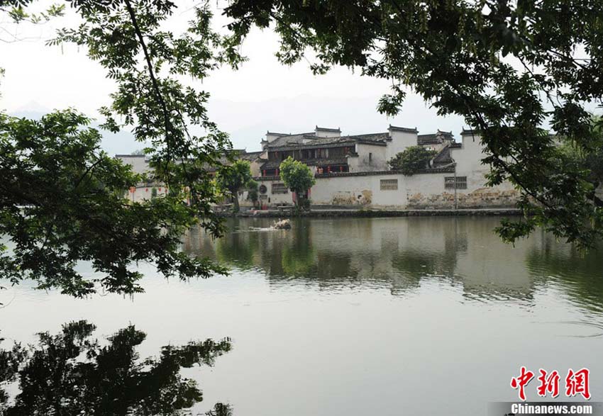  قرية هونغتسون تشبه  لوحة الحبر الصينية 