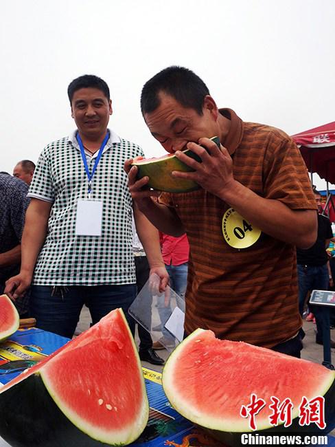 تنظيم "ألعاب البطيخ" فى خنان احتفالا بموسم جني البطيخ     (2)