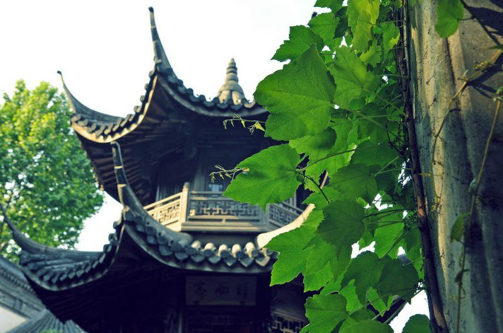 زيارة أفضل منزل فاخر في العصور القديمة الصينية (24)