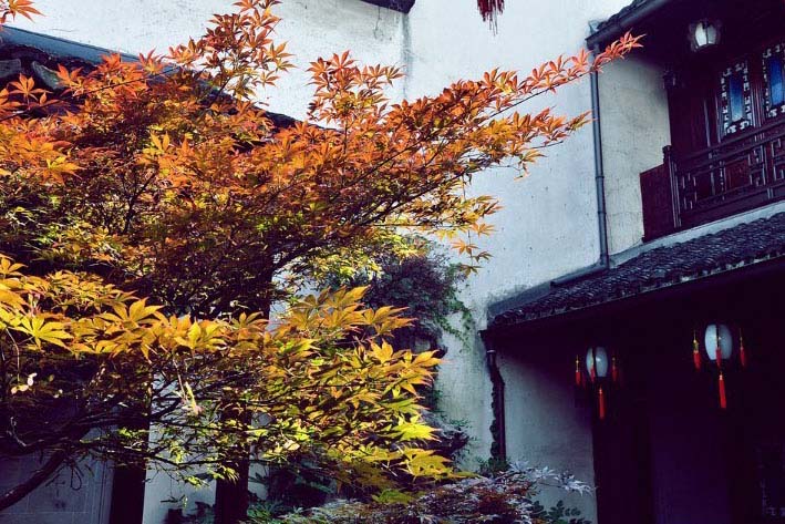 زيارة أفضل منزل فاخر في العصور القديمة الصينية (14)