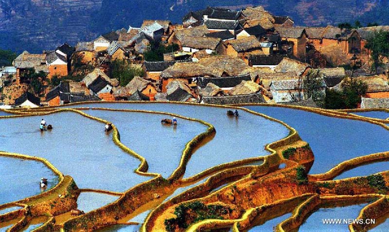 اليونسكو تضيف مصاطب الأرز الصينية إلى مواقع التراث العالمي  (2)