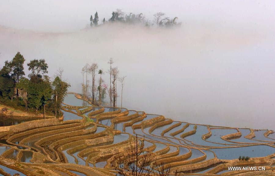 اليونسكو تضيف مصاطب الأرز الصينية إلى مواقع التراث العالمي  (6)