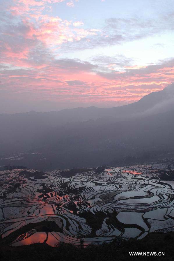 اليونسكو تضيف مصاطب الأرز الصينية إلى مواقع التراث العالمي  (7)