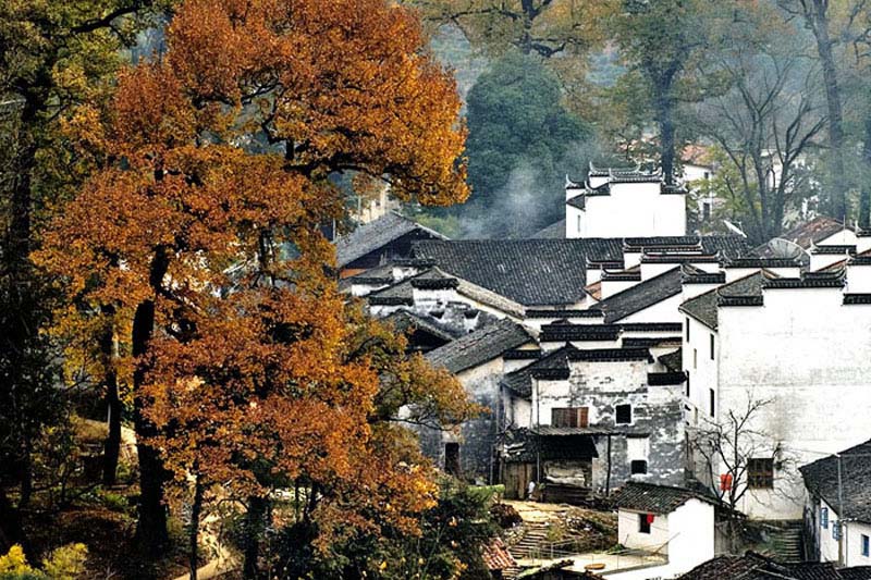 لمحة عن مواقع التراث العالمي في الصين: القرى القديمة بجنوب آنهوي: قرية شيدي وقرية هونغتسون (22)