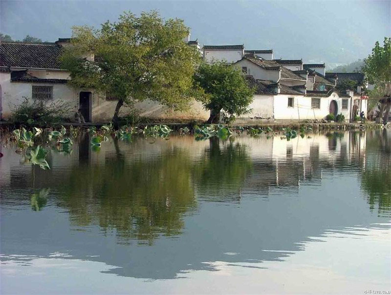 لمحة عن مواقع التراث العالمي في الصين: القرى القديمة بجنوب آنهوي: قرية شيدي وقرية هونغتسون (11)