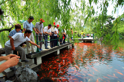 لمحة عن مواقع التراث العالمي في الصين: البحيرة الغربية شيهو  (4)