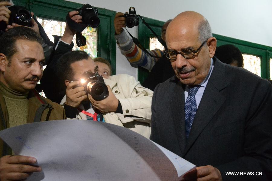 الرئاسة المصرية تنفى تكليف البرادعي برئاسة الحكومة