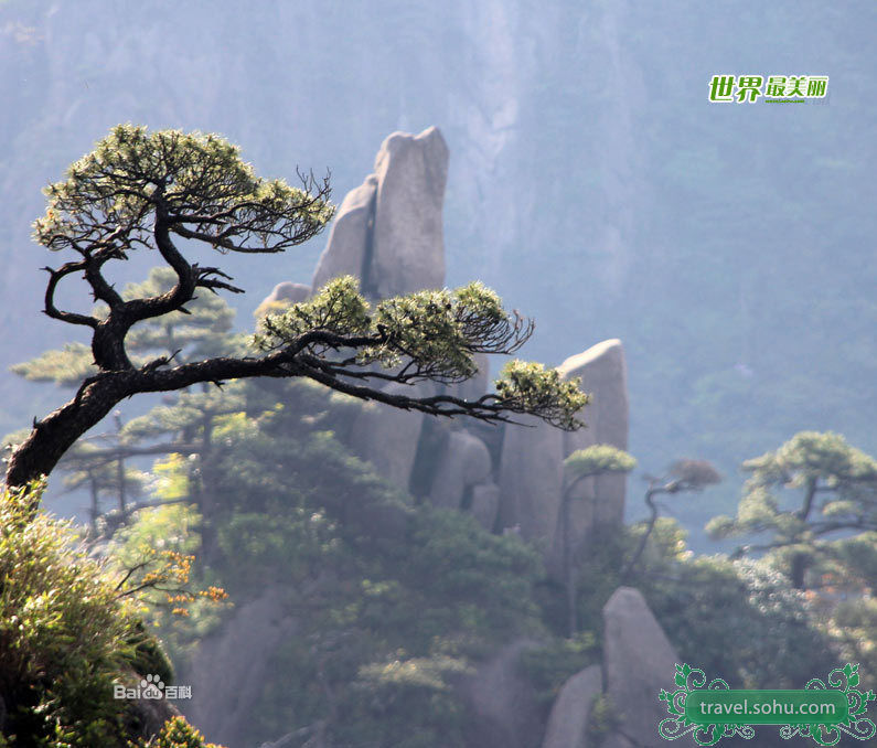لمحة عن مواقع التراث العالمي في الصين:جبل سانتشينغ  (25)