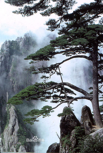 لمحة عن مواقع التراث العالمي: جبل هوانشان   (18)