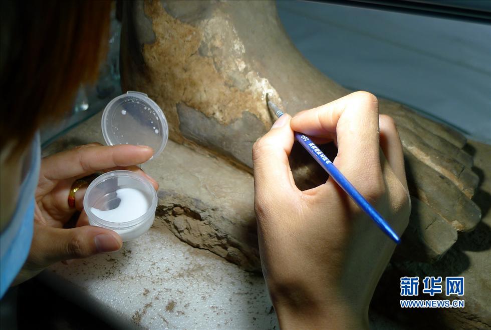 تقوم عاملة بتصليب الصبغ المتبقي على القطعة المحطمة من التماثيل الصلصالية باستخدام المواد الكيميائية الخاصة.
