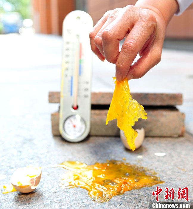 درجات الحرارة في شنغهاي تتجاوز الـ 38 درجة لليوم السابع على التتالي  (2)