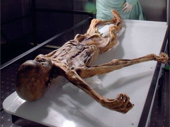 اكتشاف مومياء لرجل الثلج ” الانسان القديم ” مع قطع من العصر الحجري في جبال الألب (16)