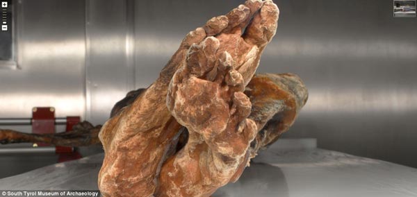اكتشاف مومياء لرجل الثلج ” الانسان القديم ” مع قطع من العصر الحجري في جبال الألب (10)