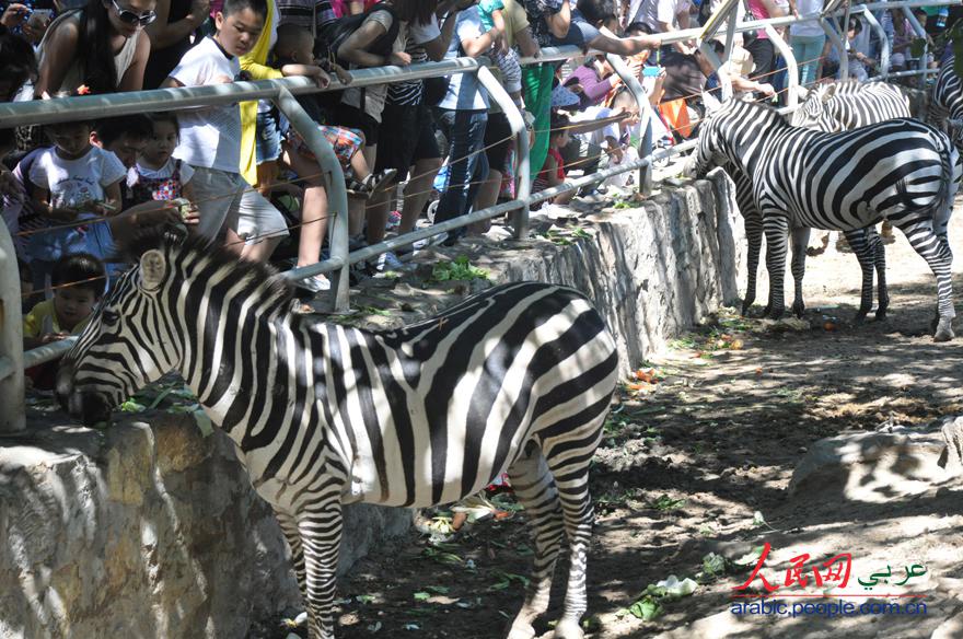 حديقة حيوانات بكين هي الأولى من أفضل عشر حدائق الحيوانات فى الصين  (2)