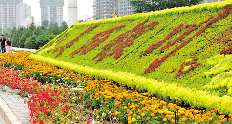 ينتشوان: 200 ألف أصيص من الزهور لاستقبال معرض الصين والدول العربية 2013