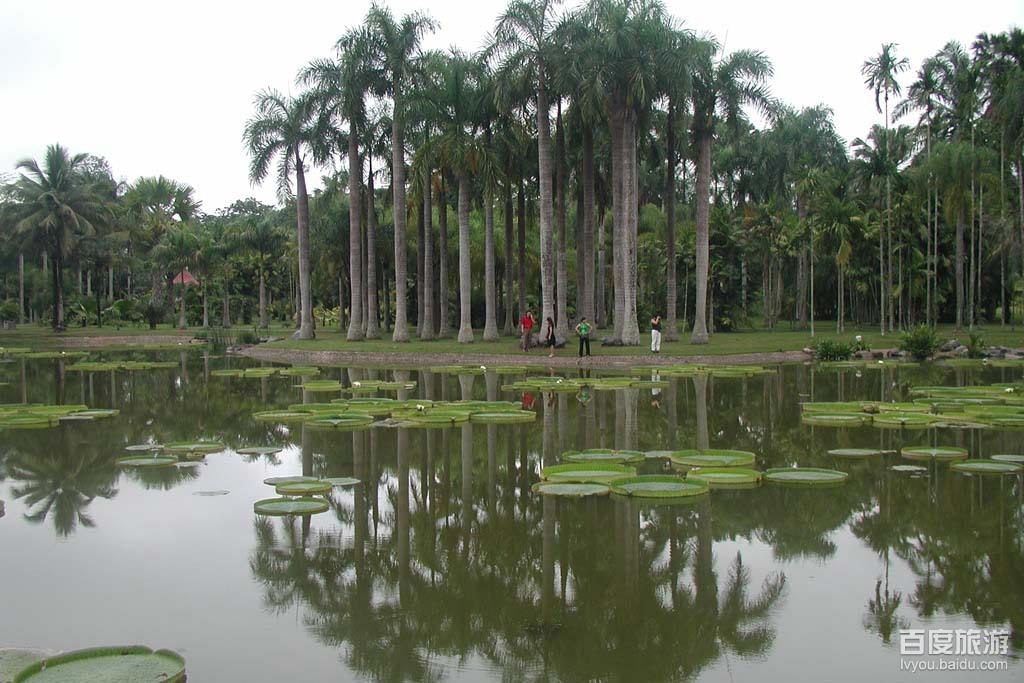 حديقة شيشوانغباننا للغابات الاستوائية    (6)