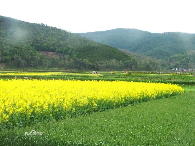 قرية تشينغيينغ فى محافظة شيبينغ     (2)