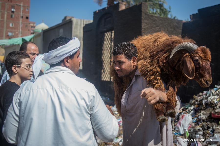 المسلمون في القاهرة مستعدون لعيد الأضحى (2)