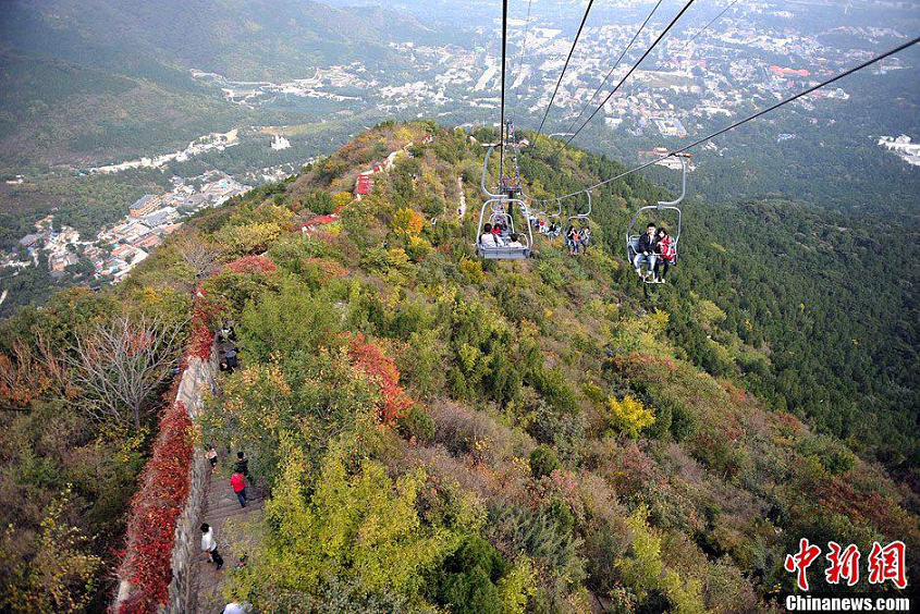 افتتاح الدورة ال25 لمهرجان إحمرار أوراق الأشجار  فى جبل شيانغشان ببكين 
