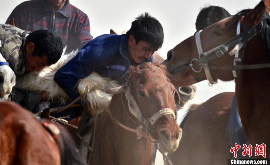 إقامة مسابقة ركوب الحصان وأخذ الخروف فى شينجيانغ  (6)