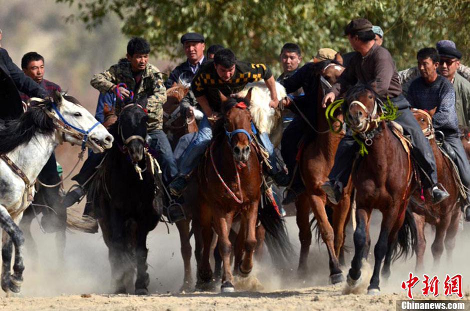 إقامة مسابقة ركوب الحصان وأخذ الخروف فى شينجيانغ  (3)