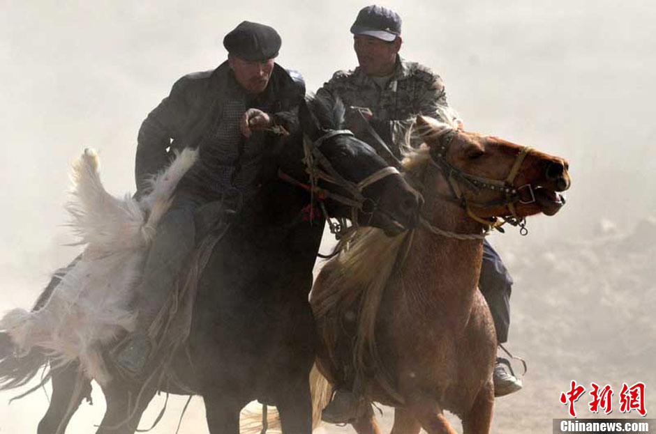 إقامة مسابقة ركوب الحصان وأخذ الخروف فى شينجيانغ  (2)