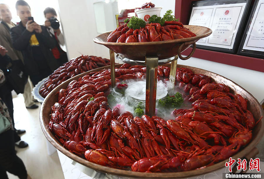 مهرجان المأكولات الصينية يقام في نانجينغ  (6)
