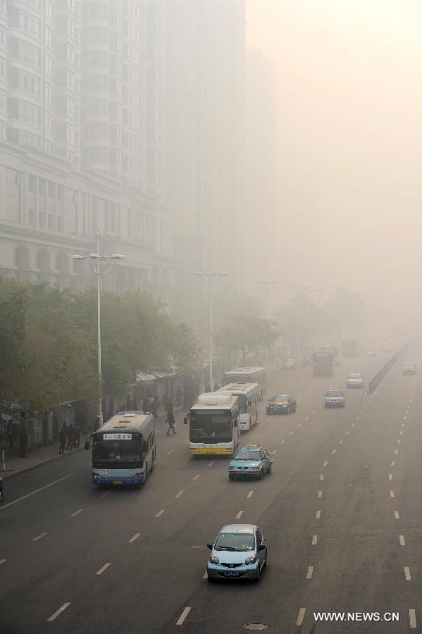 الضباب الدخاني يغلق المدارس والطرق السريعة في شمال شرقي الصين  (2)