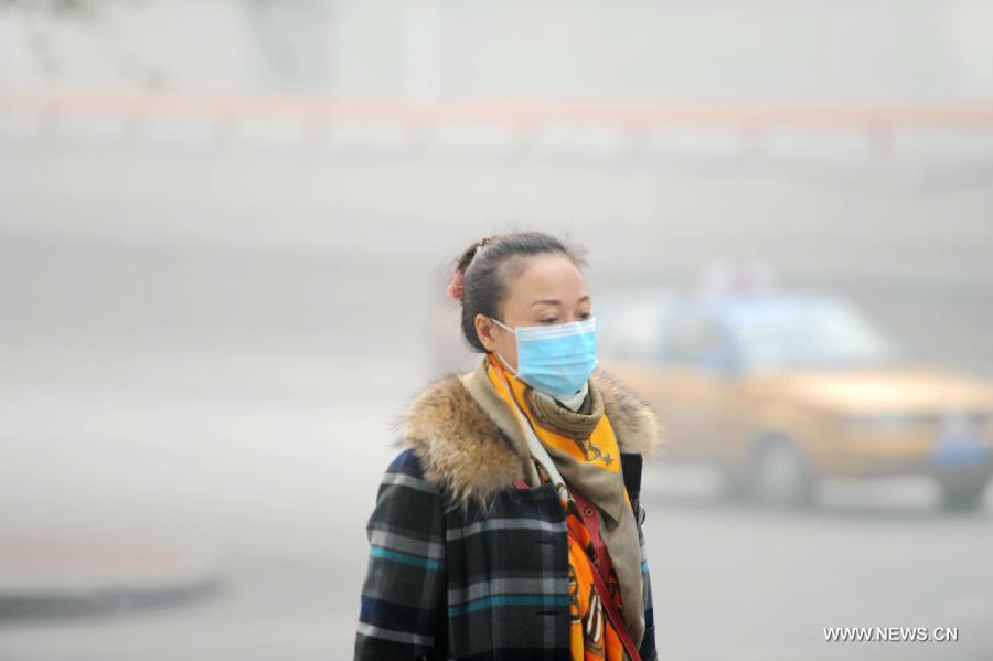 الضباب الدخاني يغلق المدارس والطرق السريعة في شمال شرقي الصين  (3)