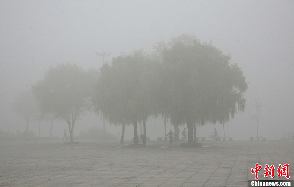 استمرار الضباب الكثيف في شمال شرقي الصين  (12)
