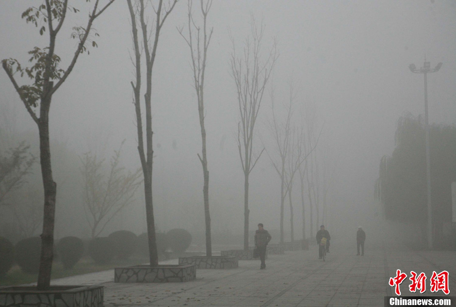 استمرار الضباب الكثيف في شمال شرقي الصين  (11)