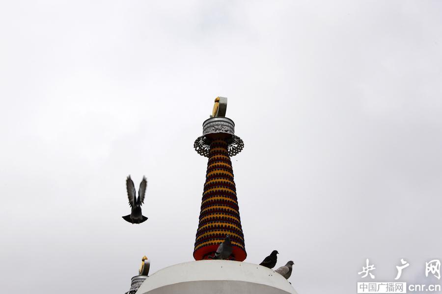 معبد "تا أر" الغامض بمقاطعة تشينغهاي  (10)