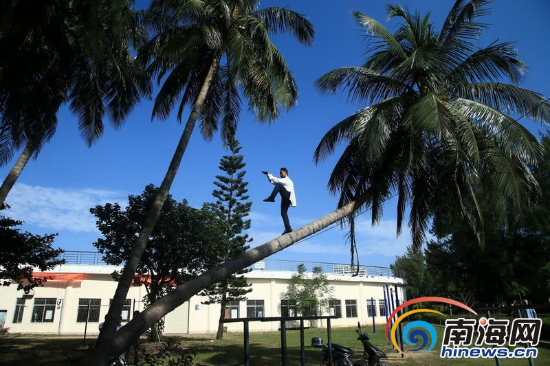 صور مذهلة!رجل عجيب يمارس الكونغ فو على شجرة النارجيل فى جامعة هاينان  (3)
