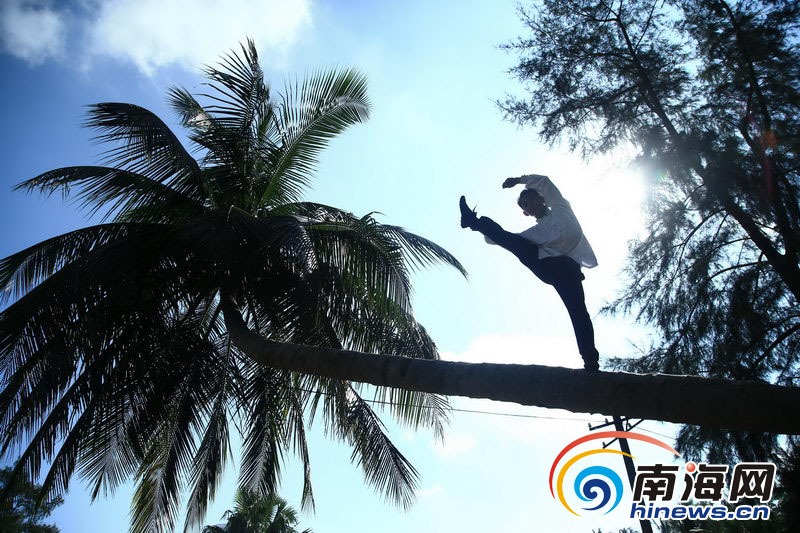 صور مذهلة!رجل عجيب يمارس الكونغ فو على شجرة النارجيل فى جامعة هاينان  (2)