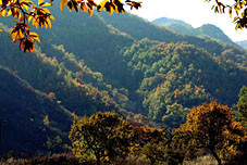 منطقة المناظر الطبيعية بجبال يونمنغ