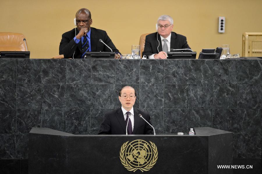 القضايا الساخنة في أفريقيا والشرق الأوسط لا تزال محور اهتمام مجلس الأمن الدولي  (2)