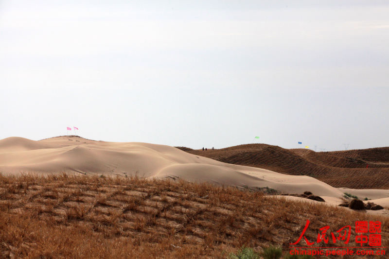 قصة بالصور: أبطال ترويض الصحراء في الصين  (11)