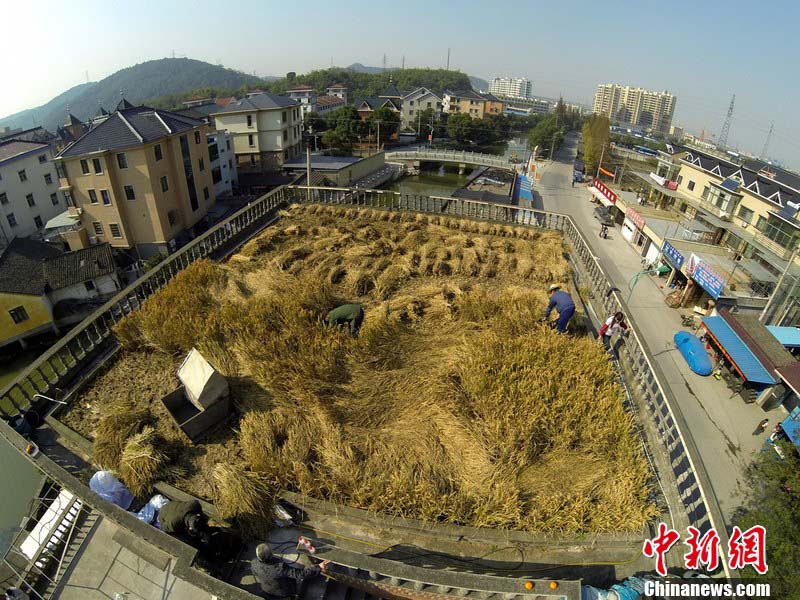 الحقول الفضائية على سقف مباني  بشاوشينغ الصينية 