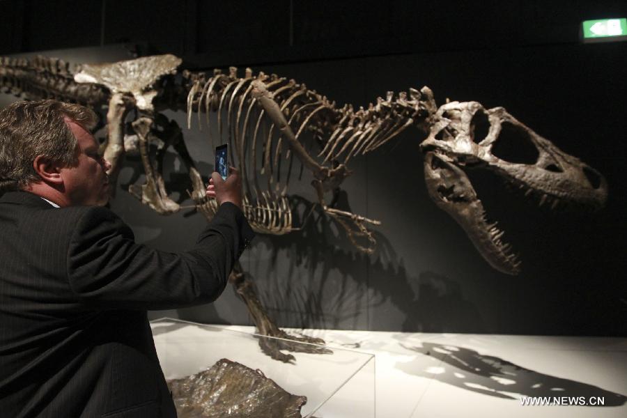 معرض احافير الديناصور الصينية في سيدني (6)