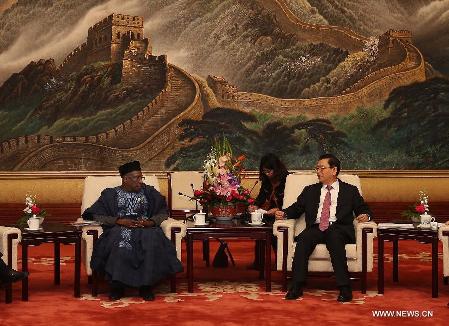 كبير المشرعين الصينيين يلتقي برئيس الحزب الحاكم في نيجيريا  (2)
