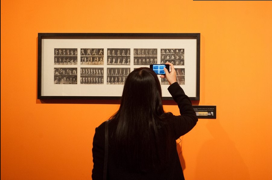 جنوب الصين يستضيف معرض أعمال فنية للرسام فرانسييس بيكون  (4)