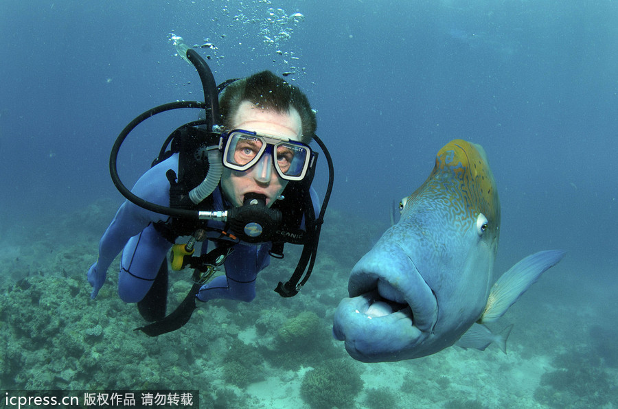 الصور المضحكة لإنسان وسمك  (2)
