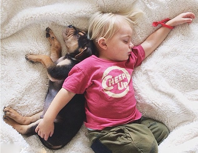 صور نوم طفل مع كلب تنتشر على شبكة الإنترنت  (8)