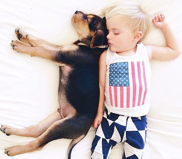 صور نوم طفل مع كلب تنتشر على شبكة الإنترنت  (5)