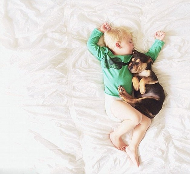 صور نوم طفل مع كلب تنتشر على شبكة الإنترنت  (4)