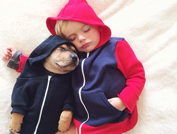 صور نوم طفل مع كلب تنتشر على شبكة الإنترنت 