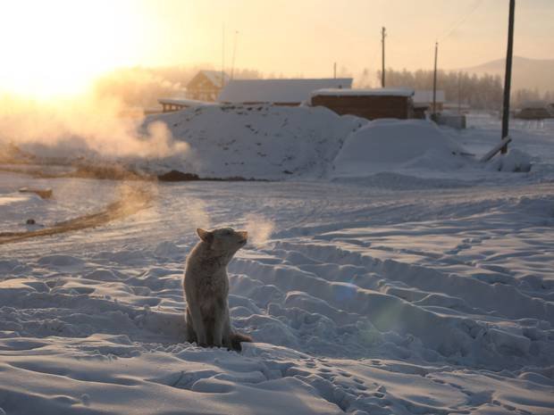 المرتبة السادسة: بلدة أويمياكون الروسية بأدنى درجة حرارة بلغت 71.2 درجة تحت الصفر، وكانت تعد أبرد مكان لإقامة البشر مع فيرخويانسك، وعدد سكانها 472 فرداً.